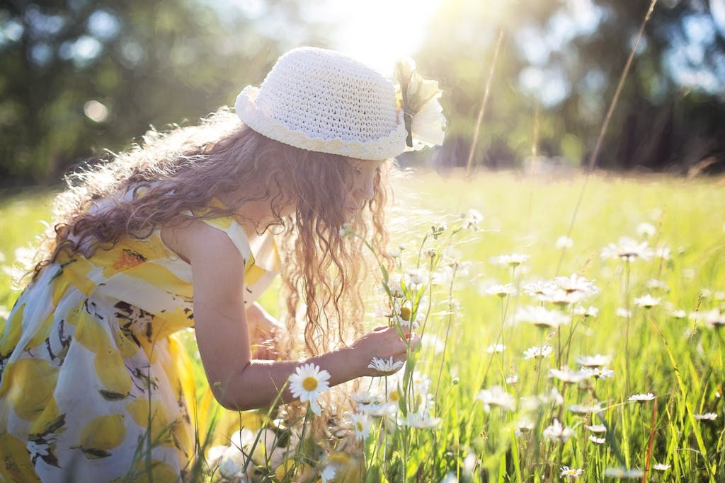 Little girl enjoys picking flowers in a sunlit meadow, embodying pure joy and innocence.