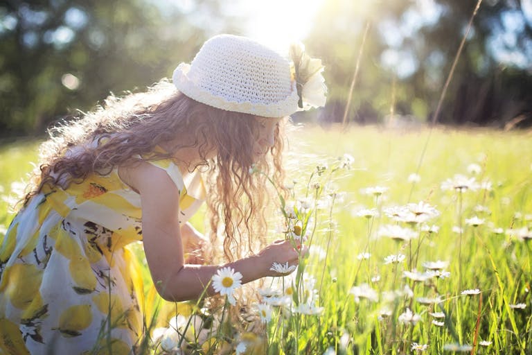 Little girl enjoys picking flowers in a sunlit meadow, embodying pure joy and innocence.